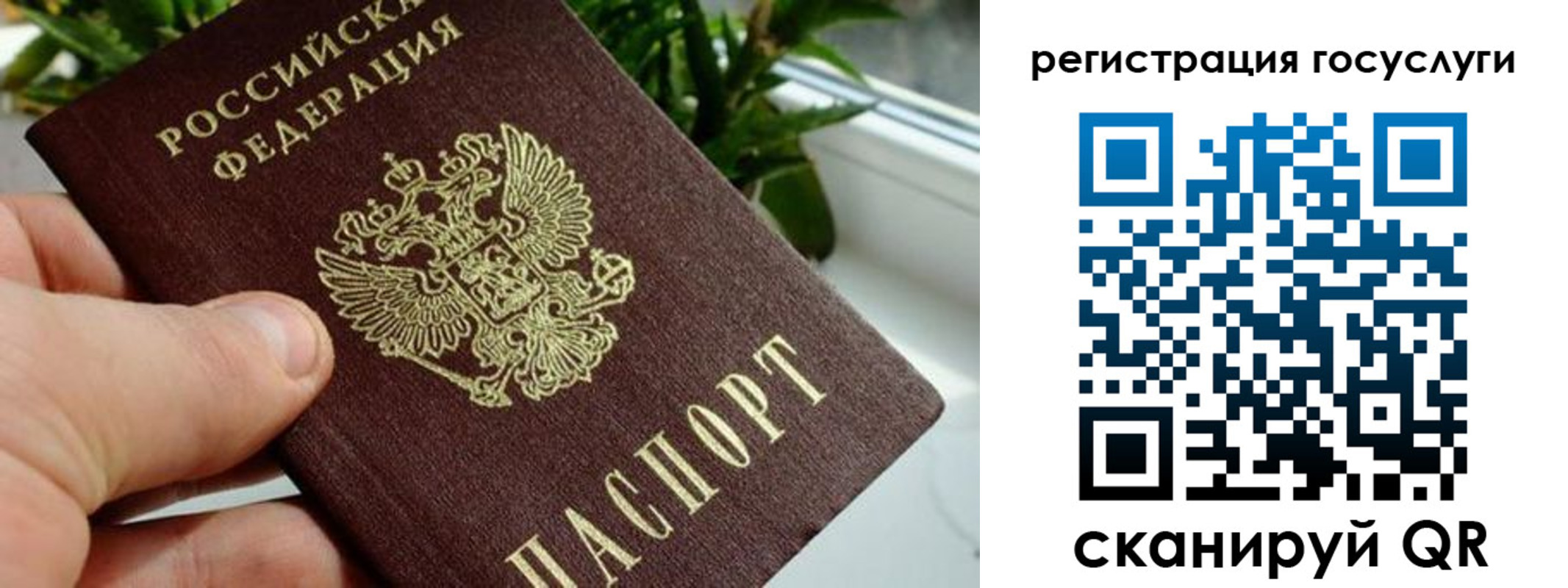 прописка для кредита в Дубовке